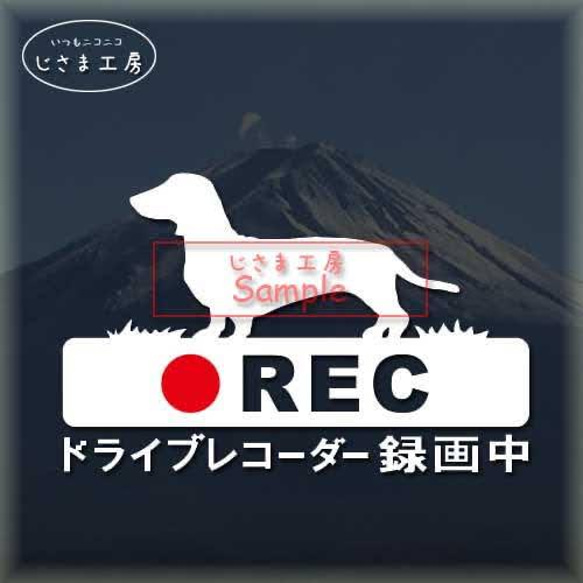 ミニチュアダックスフンド（スムース）の白色シルエットステッカー危険運転防止!!ドライブレコーダー録画中