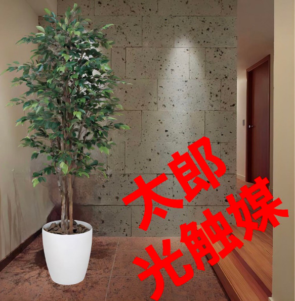 光触媒　人工観葉植物　フェイクグリーン　ロイヤルベンジャミン1.8