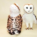 フクロウは、ハリーポッターでも人気です handmadeメンフクロウ・世界でたった一体