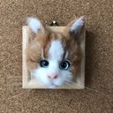 羊毛フェルト　猫　茶トラ　フレーム猫