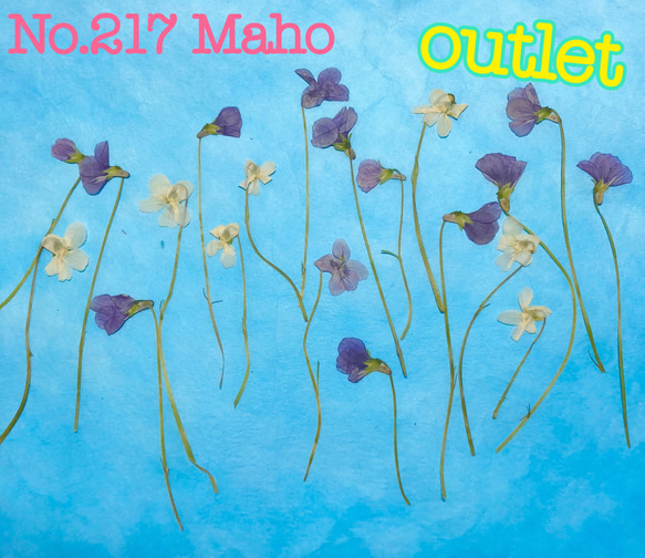 ♡outlet♡押し花素材♡野スミレ♡