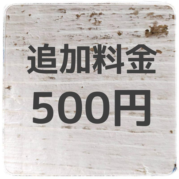 追加料金500円