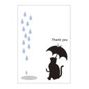 猫と雨の39card