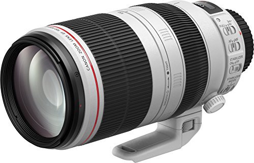 Canon 望遠ズームレンズ EF100-400mm F4.5-5.6L IS II USM フルサイズ対応 EF100-400LIS2【中古品】