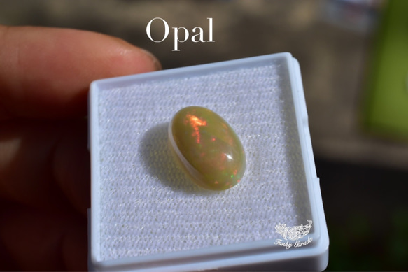 虹色の卵★プレシャスオパール　ルース　opal011