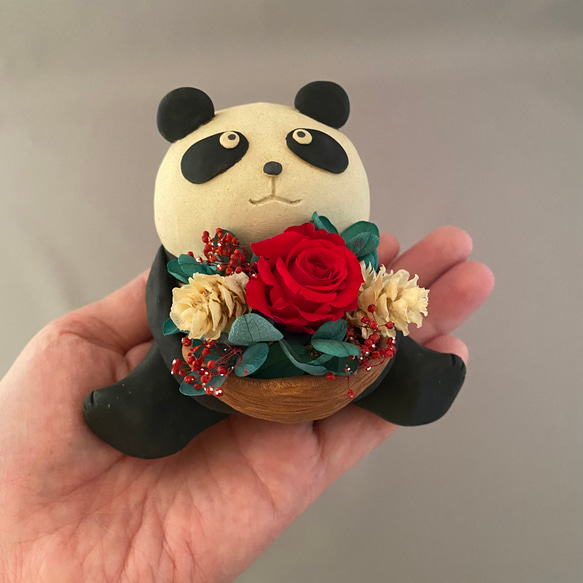 花パンダflower Panda①