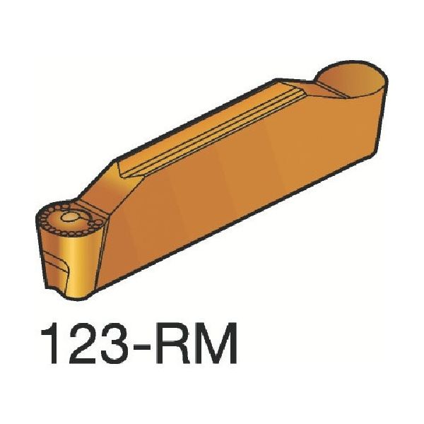 サンドビック コロカット1・2 倣い加工用チップ（320） N123J2-0600-RM H13A 608-0626（直送品）