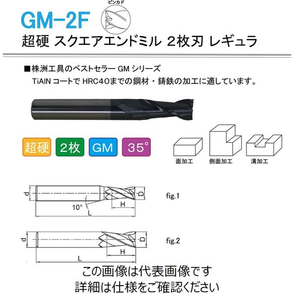 株洲ダイヤモンド切削工具 超硬 スクエアエンドミル 2枚刃 レギュラ ピンカド GM-2F-D16.0 1本（直送品）