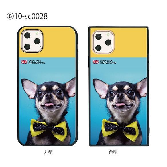 ガラス保護フィルム付 iPhone 11 Pro Max ケース 【DOG】