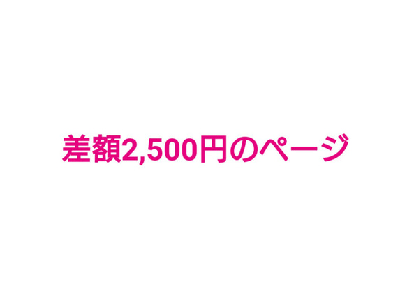 差額2,500円のオプションページ