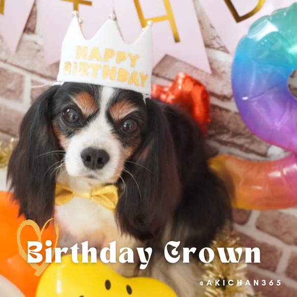 ミニ バースデークラウン HAPPY BIRTHDAY ペット 犬 猫 誕生日 1歳 王冠 クラウン あご紐 うさぎ