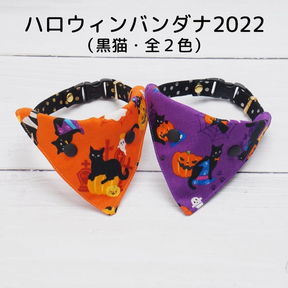 【猫用】ハロウィンバンダナ2022（黒猫・全２色）