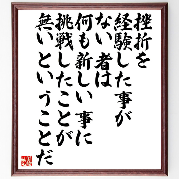 アルベルト・アインシュタインの名言「挫折を経験した事がない者は、何も新しい事～」額付き書道色紙／受注後直筆（V5270）