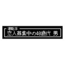 ゲーム風 ドット文字 恋人募集中40歳代 男 カー マグネットステッカー