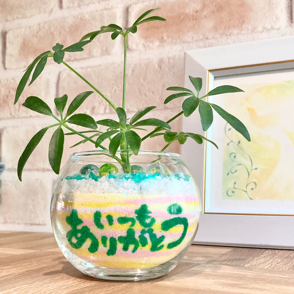 「いつもありがとう」のグラスサンドアート　観葉植物　シェフレラ