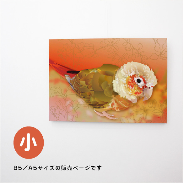 パネル作品【小】「ウロコインコ HARU」（A5・B5サイズ）