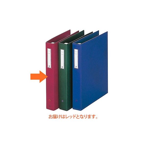 リヒトラブ　カルテブック スタンダード表紙 4穴