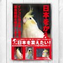 インコ党 第一弾 ポストカード３枚セット