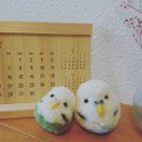 小鳥兄弟～青の小鳥～