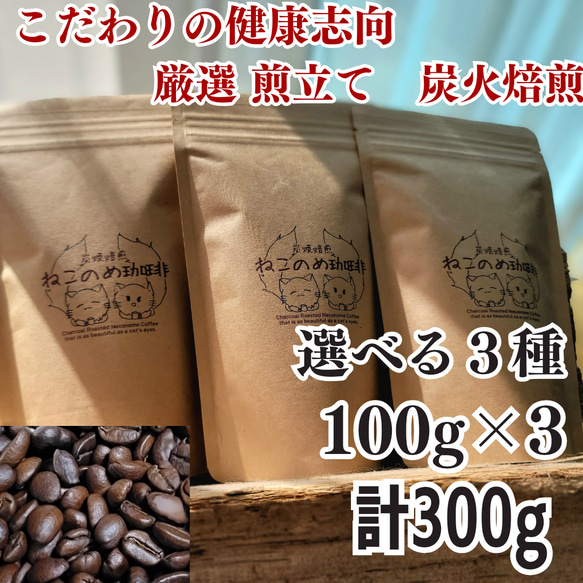 送料無料 お試し価格 選べる 新鮮厳選 炭火自家焙煎コーヒ豆 100g×3個 可愛い猫柄 ねこのめ珈琲 ハンドピック済