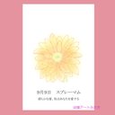 09月09日誕生花カード（花言葉つき）点描画