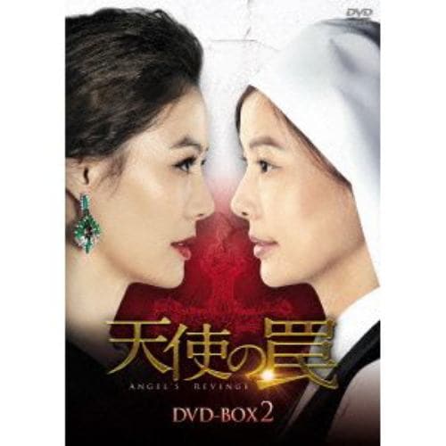 【DVD】天使の罠 DVD-BOX2