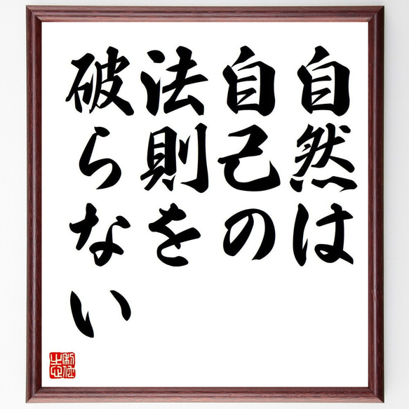 レオナルド・ダ・ヴィンチの名言「自然は自己の法則を破らない」額付き書道色紙／受注後直筆（V6115）