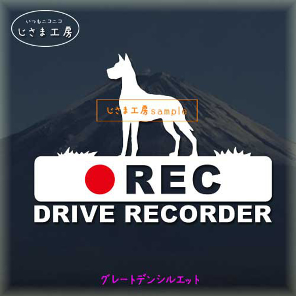 グレートデンの白シルエットステッカー後方注意!!『DRIVE　RECORDER』