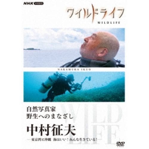 【DVD】ワイルドライフ 自然写真家 野生へのまなざし 中村征夫 DVD