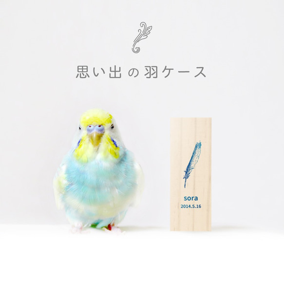 【名入れ無料 メール便 送料無料】鳥の羽根ケース グラデーション 羽根 はね 鳥 とり インコ ヨウム アヒル ブンチョ