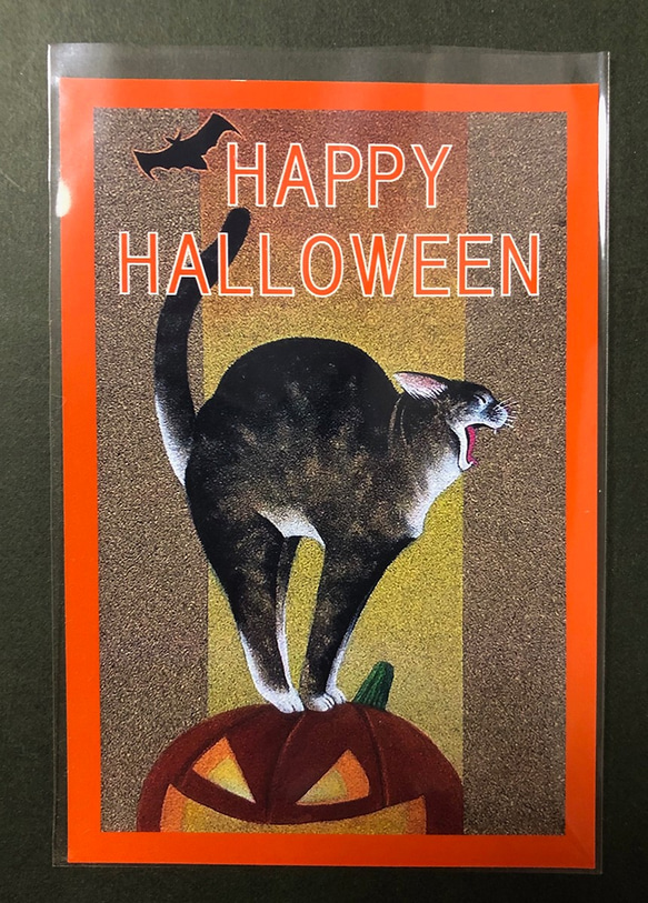 ポストカード「ハロウィン・キャット」5枚セット。