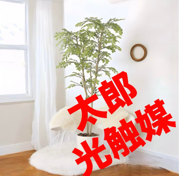 光触媒　人工観葉植物　ウォールグリーン　フェイクグリーン　ライトトネリコ1.3