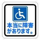 本当に障害があります カー マグネットステッカー