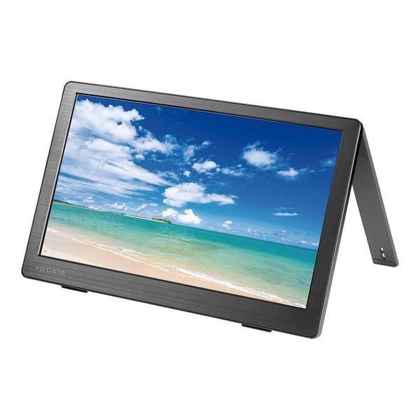 アズワン カラー液晶ディスプレイ 13.3型/ブラック 4-3801-05 1個（直送品）