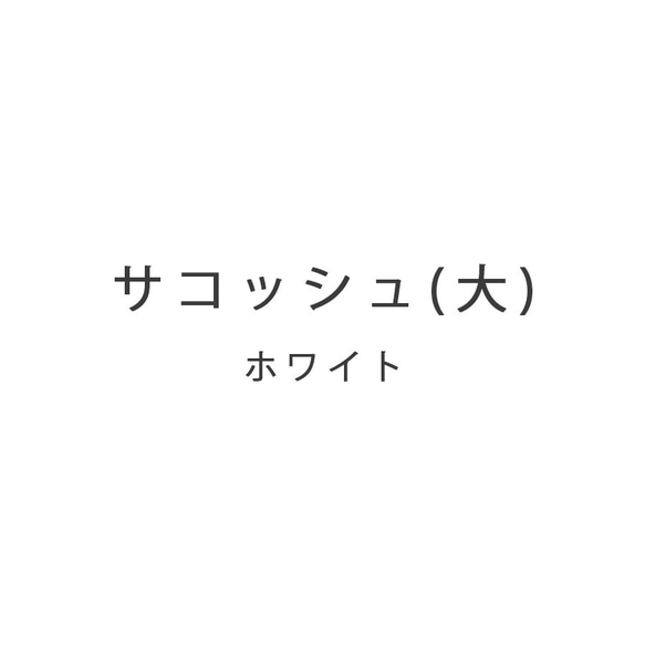 (大) 本革 ショルダー ポシェット サコッシュお出かけ 便利 【ホワイト】