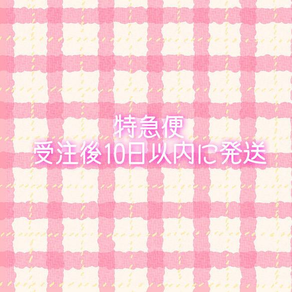 特急便　受注後10日以内に発送