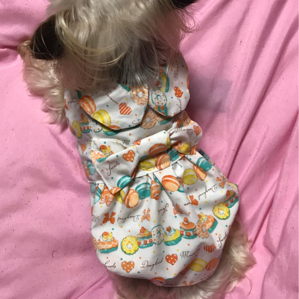 着せやすい犬服❤マカロン&スイーツ柄バルーンワンピースオーダーメイドで