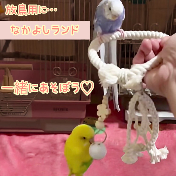 安全で安心♡放鳥用に《なかよしランド》❁⃘*.ﾟ鳥おもちゃ インコおもちゃ