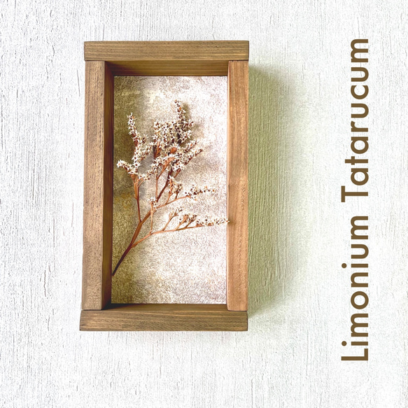 ❁Botanical Collection ❁Wood Box タタリカ【30817】