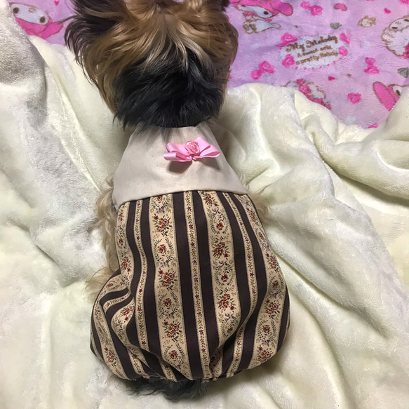 着せやすい犬服・オーダーメイドで！ハイウエストワンピースお花柄