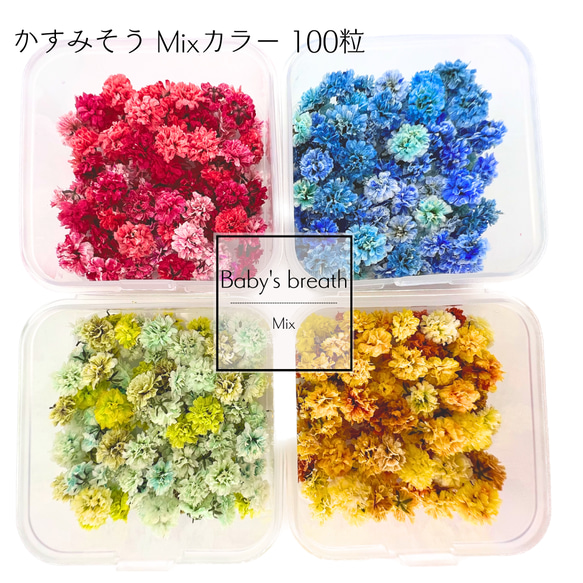 【 かすみそう ミックス 小分け 100粒 】 ドライフラワー 少量 ヘッドのみ 花材 レジン 材料