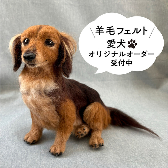 羊毛フェルト【オーダーメイド】うちの子オーダー✴︎犬✴︎愛犬✴︎ペット✴︎ハンドメイド✴︎ペットロスペットロス