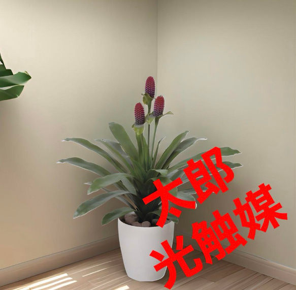 光触媒　人工観葉植物　ウォールグリーン　フェイクグリーン　マガべ花付