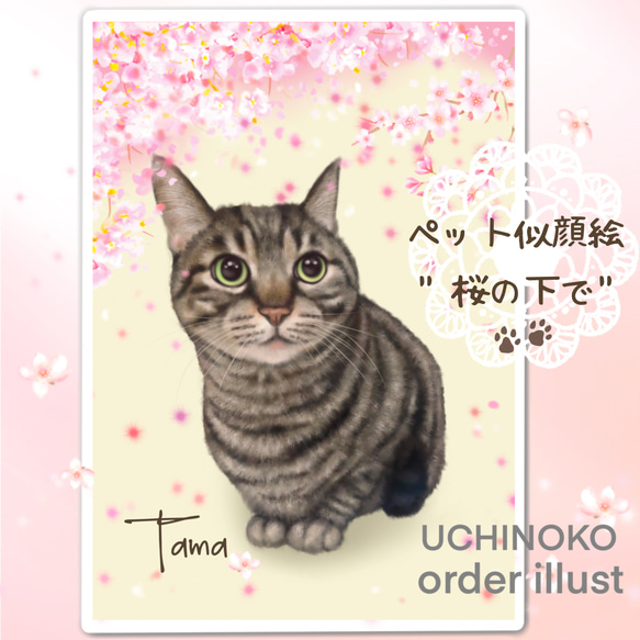 ペット似顔絵　背景“ 桜の下で  猫　犬　オーダーメイドイラスト　UCHINOKO