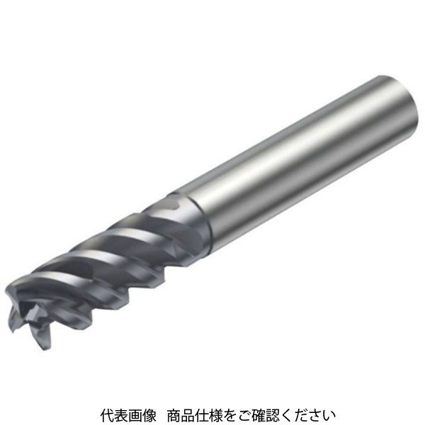 サンドビック（SANDVIK） ソリッドエンドミル R216.24