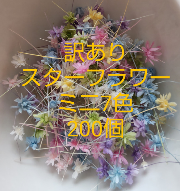 訳あり　スターフラワーミニ７色　200個以上