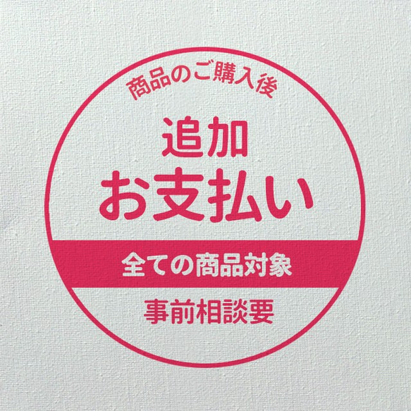 【特定お客様専用】追加お支払い