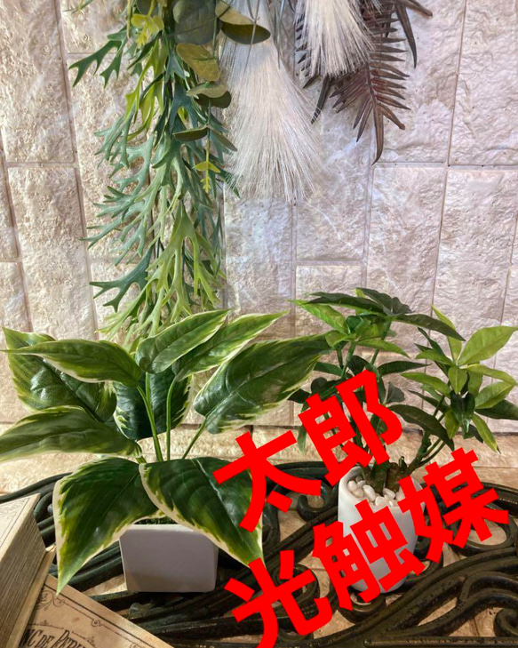 光触媒　人工観葉植物　ウォールグリーン　フェイクグリーン　パキラとデヘンajp