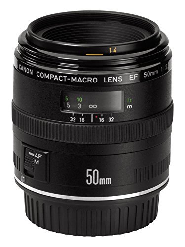 Canon 単焦点マクロレンズ EF50mm F2.5 コンパクトマクロ フルサイズ対応【中古品】