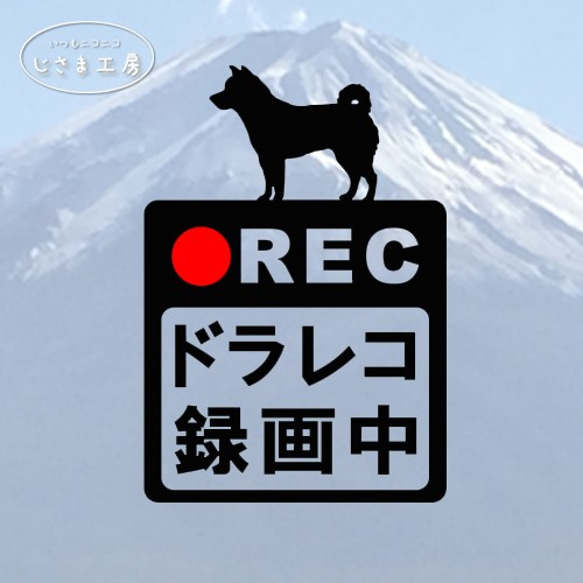 柴犬の黒色シルエットステッカー危険運転防止!!ドライブレコーダー録画中